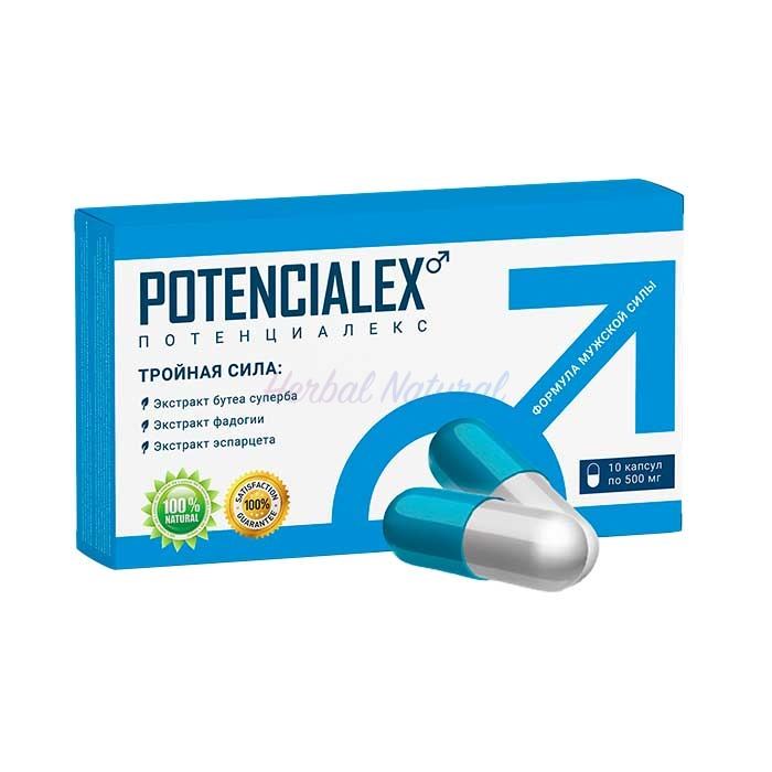 POTENCIALEX ⏤ a Jerez de le Frontere