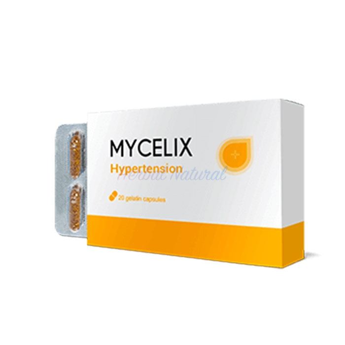 Mycelix ⏤ в Брауншвейге